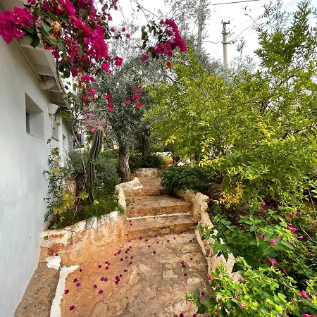 Kaktus Beach Apart Kas Exterior photo
