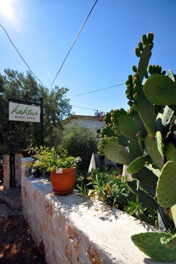 Hotel apartamentowy Kaktus 3*