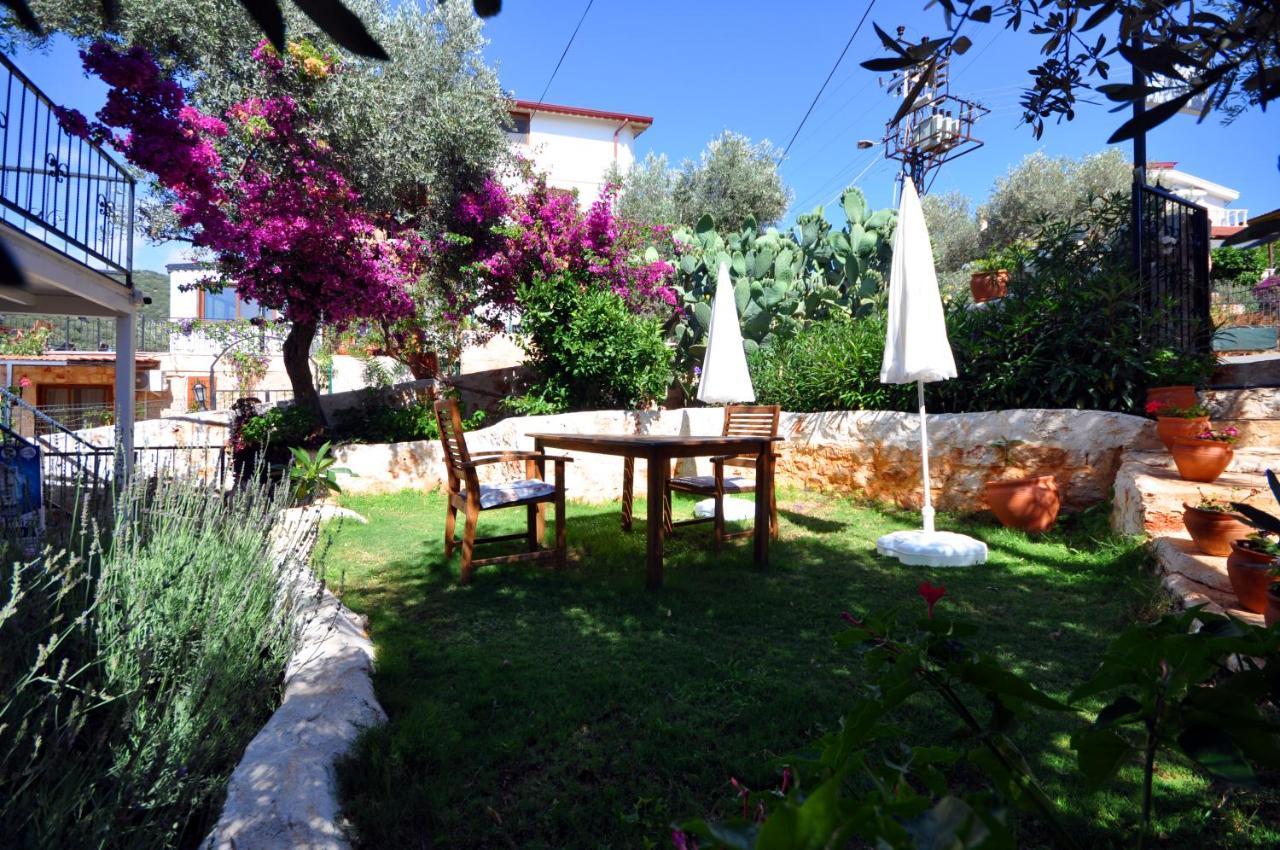 Kaktus Aparthotel 3*