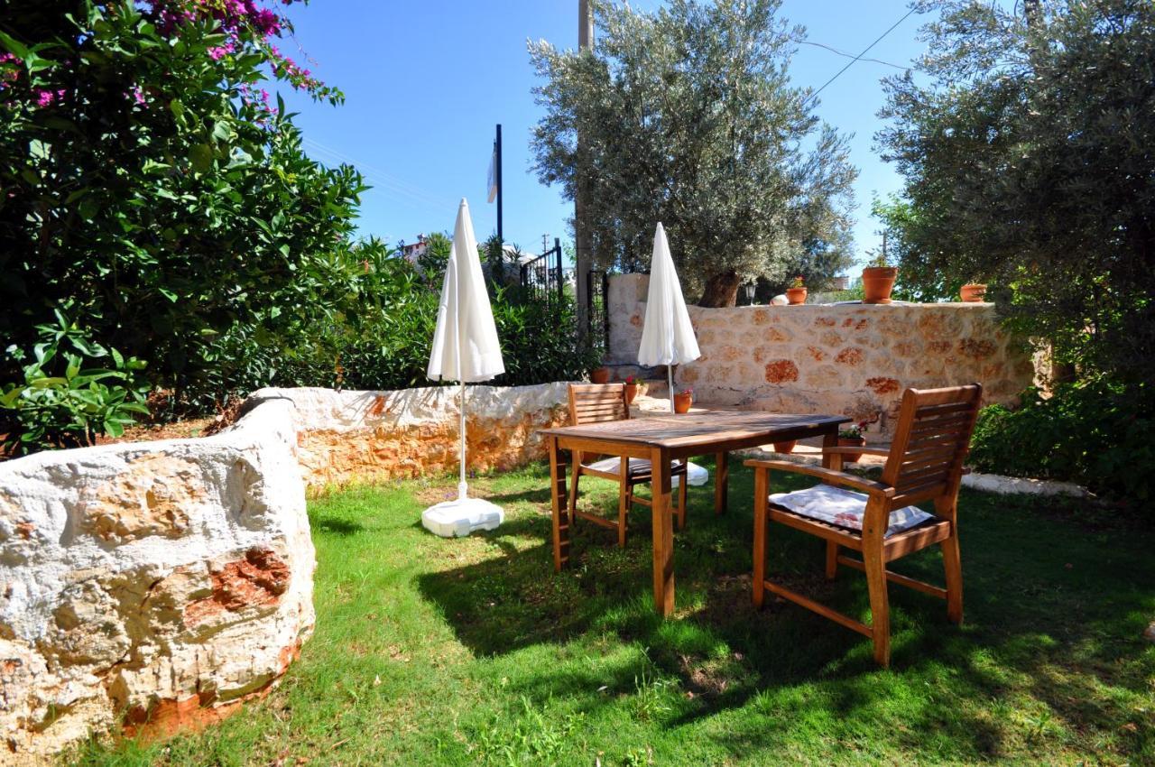 Hotel apartamentowy Kaktus