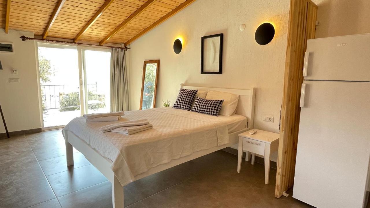 Kaktus Kaş