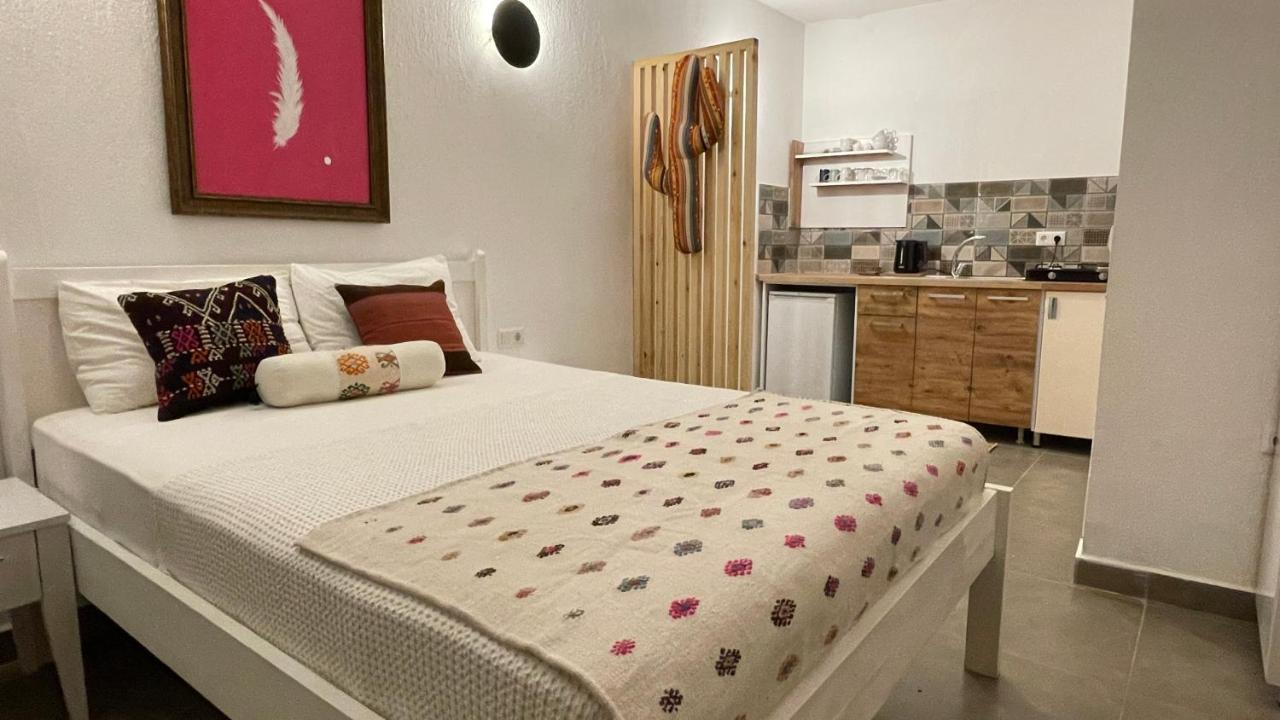 Kaktus 3*