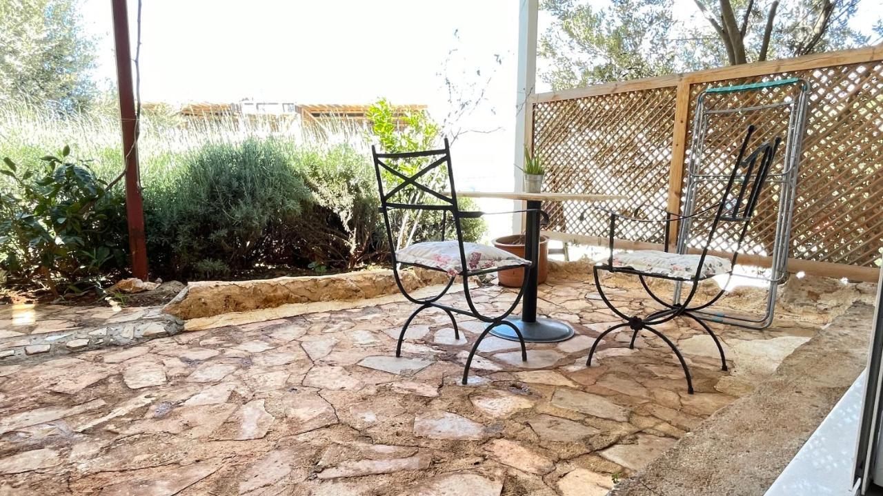 Kaktus Kaş